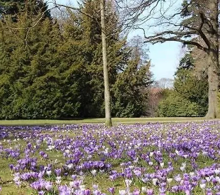 アパート Ferienwohnung_stadtpark